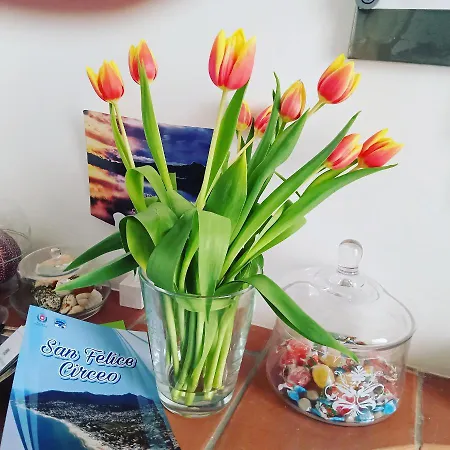 Circeo La Mola Guest house *